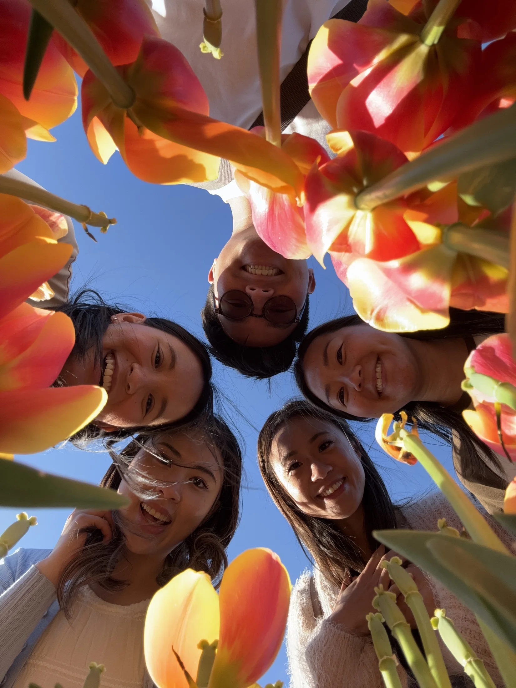 Friends smiling together among colourful tulips